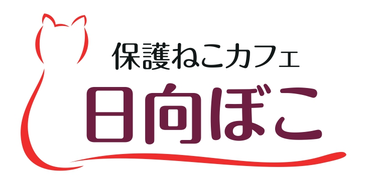 保護ねこカフェ 日向ぼこ
